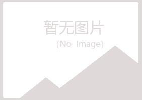 河南冰夏采矿有限公司